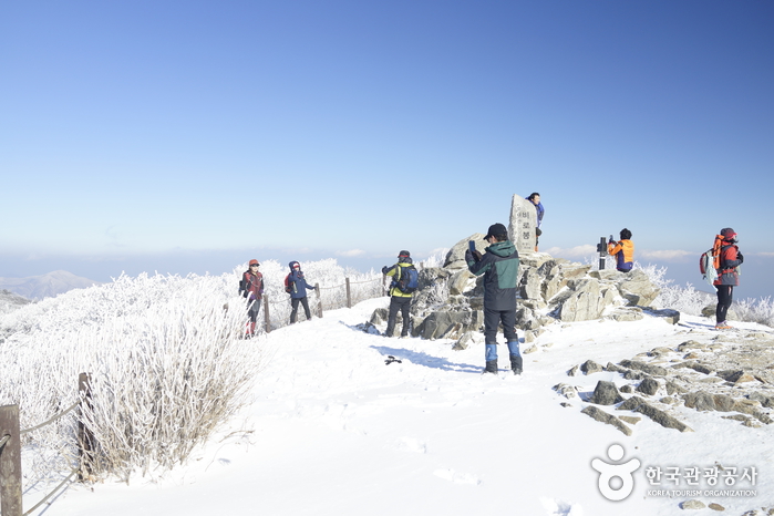 오대산국립공원 사진12