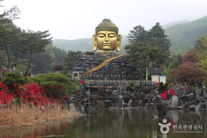 와우정사(용인)7