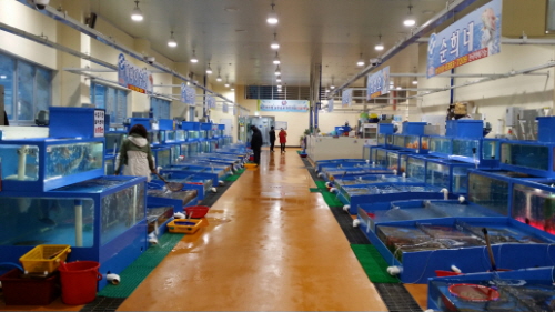 청호활어센터 순희네 (21호)3