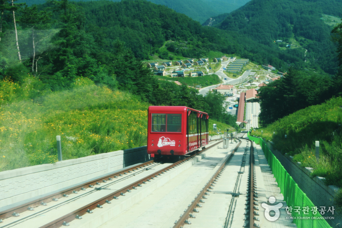 스위스 융프라우 산악열차를 체험할 수 있는 인클라인 트레인