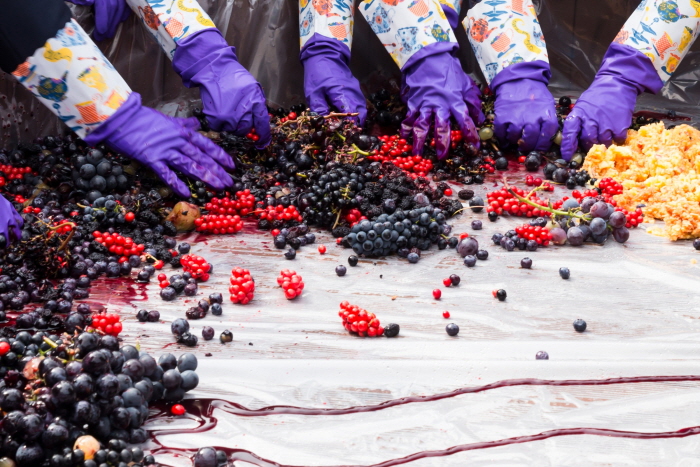 광명동굴 대한민국 와인 페스티벌2