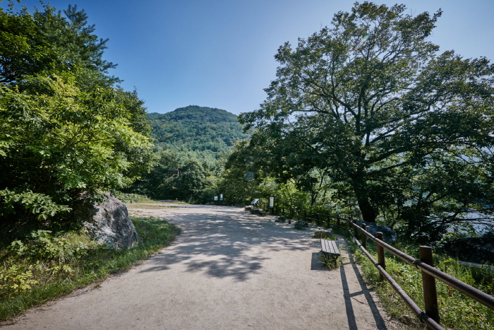 Stausee Jusanji (주산지 (청송 국가지질공원))