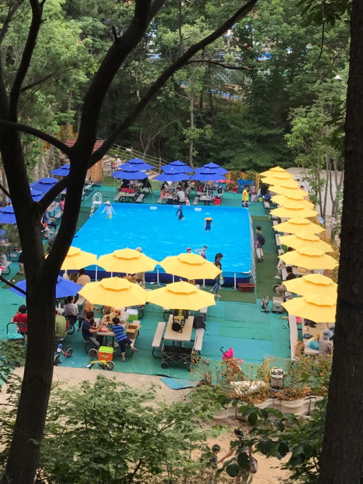 양주 유수풀 20192