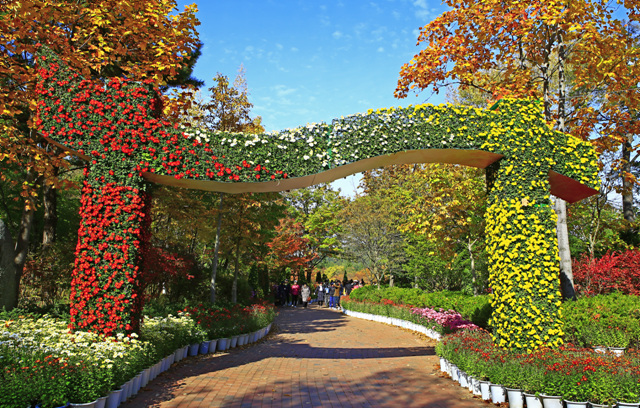 Arboretum de Daegu (대구수목원)