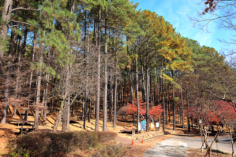 백운산 자연휴양림 자동차야영장2