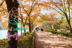 송파나루공원(석촌호수) (2)