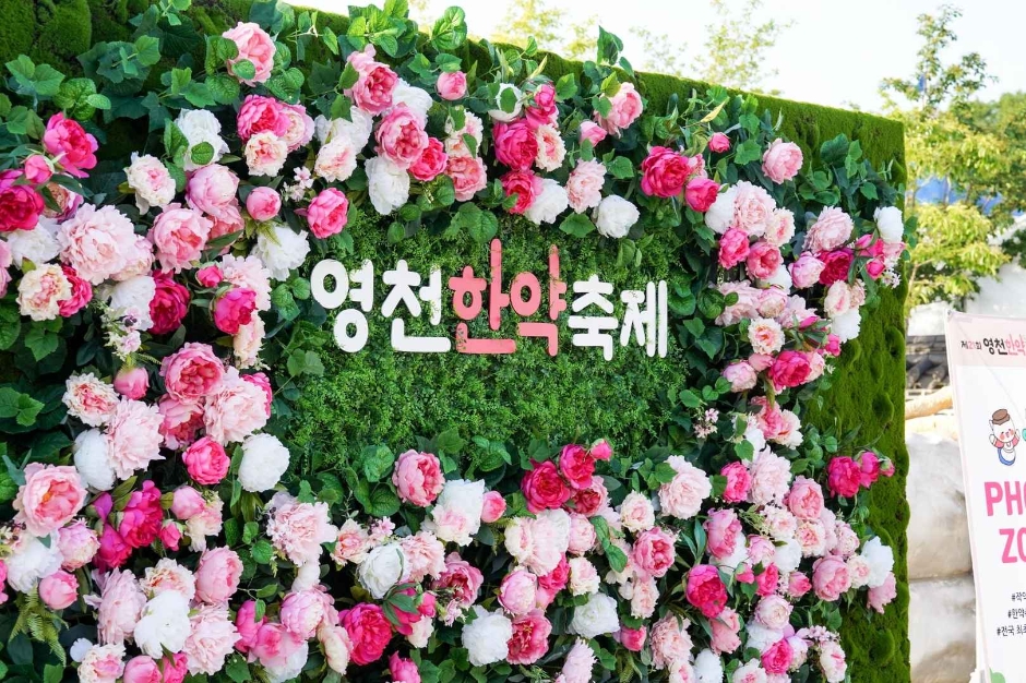 Festival de la médecine traditionnelle à Yeongcheon (영천한약축제)