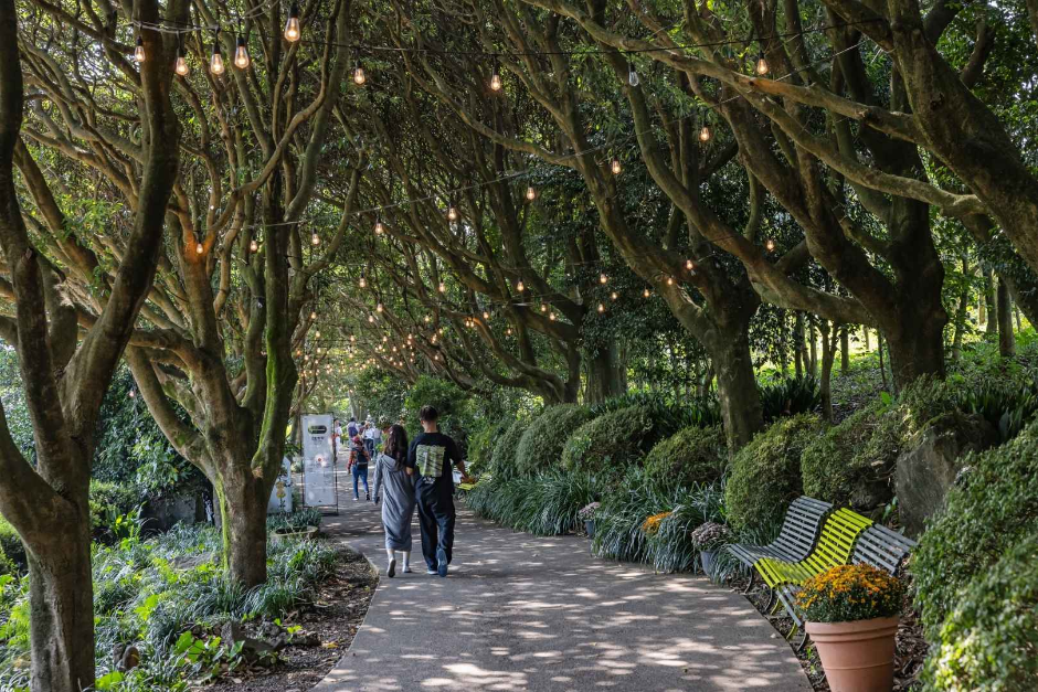 Camellia Hill (카멜리아힐)