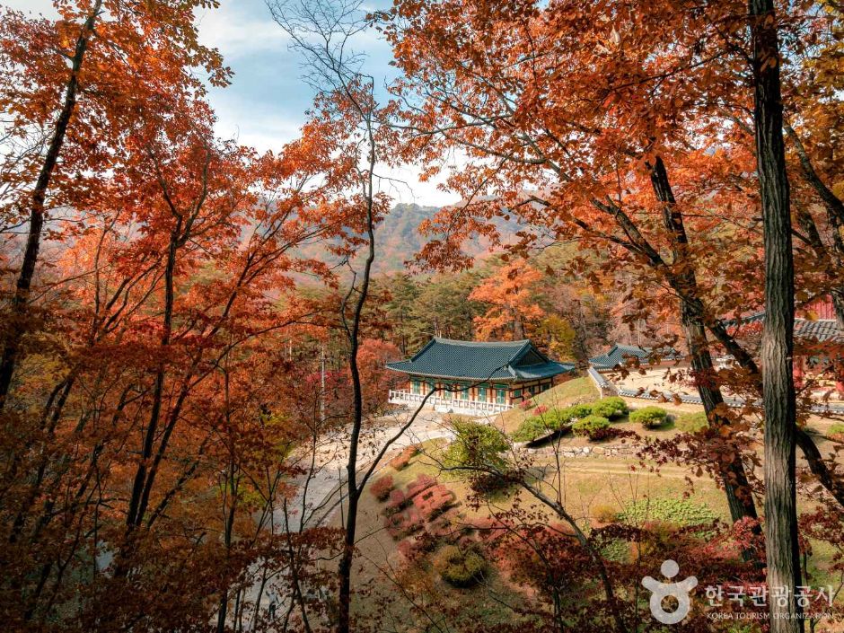 法兴寺(宁越)법흥사(영월)