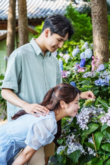 thumbnail-아침고요수목원 수국전시회-20