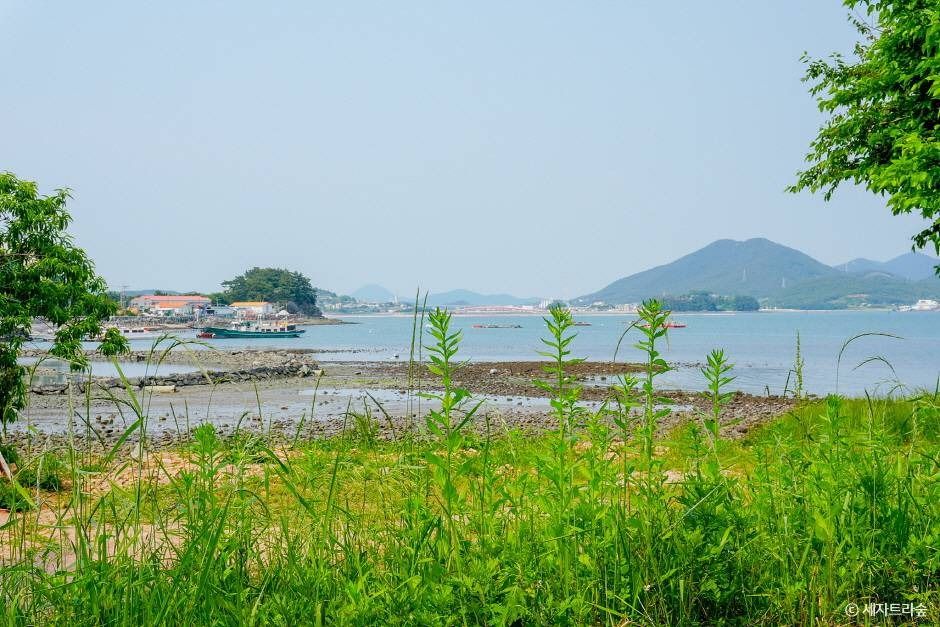 통영RCE세자트라숲