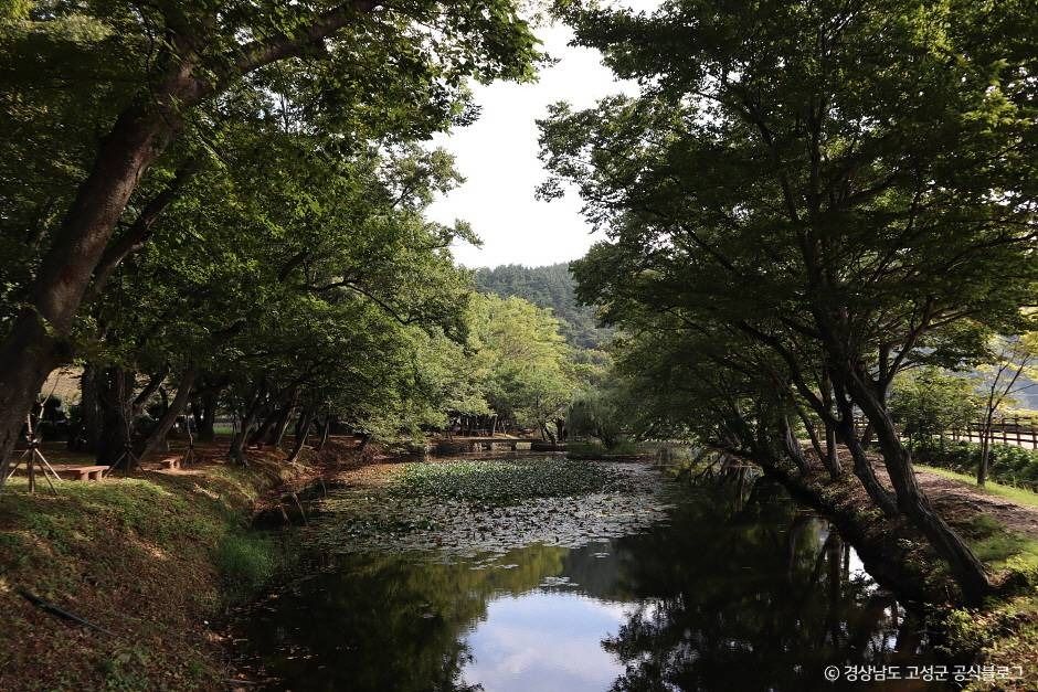 고성 장산숲