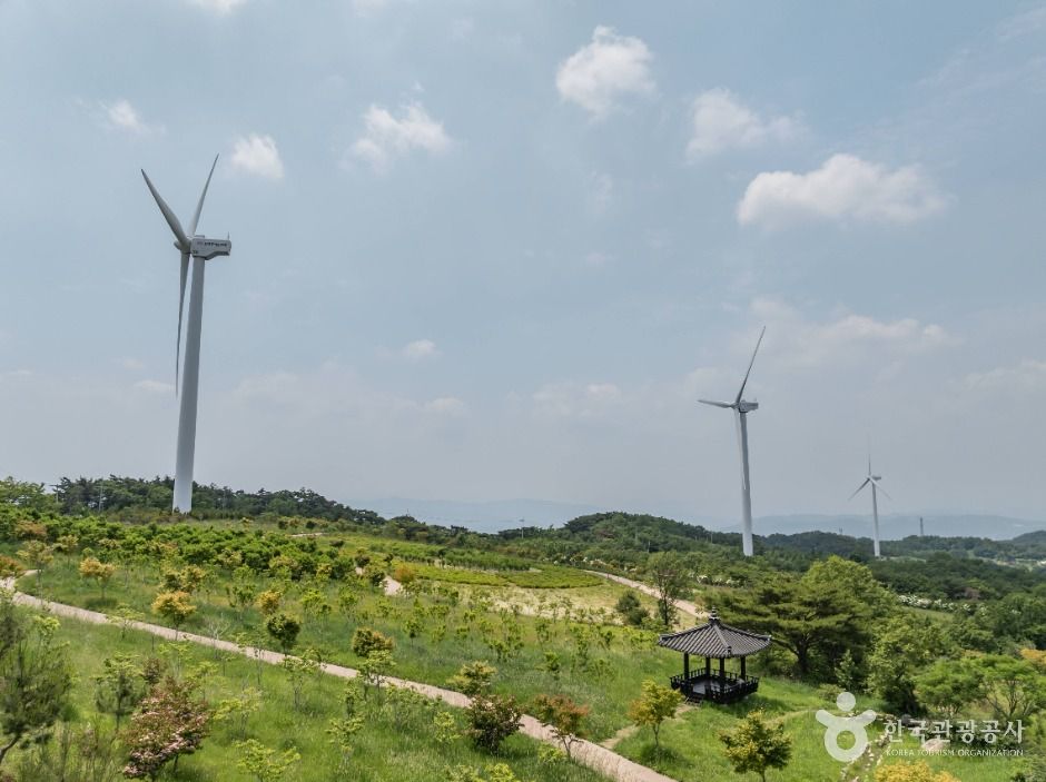 경주_경주 풍력발전(바람의언덕) (3)