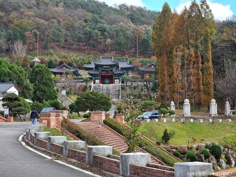 금강대도