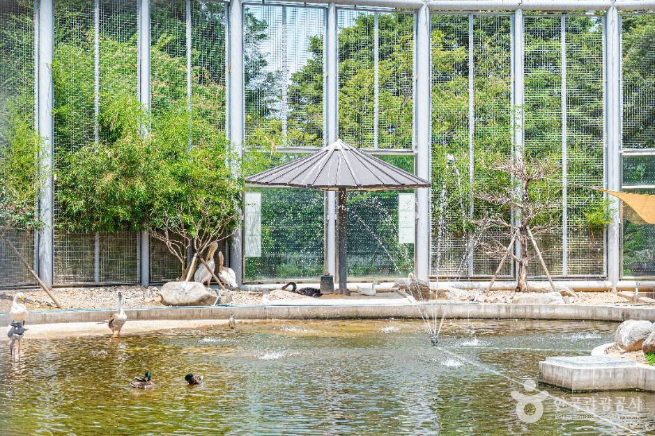 광주 우치공원 동물원