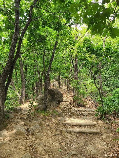 구룡산(서울)