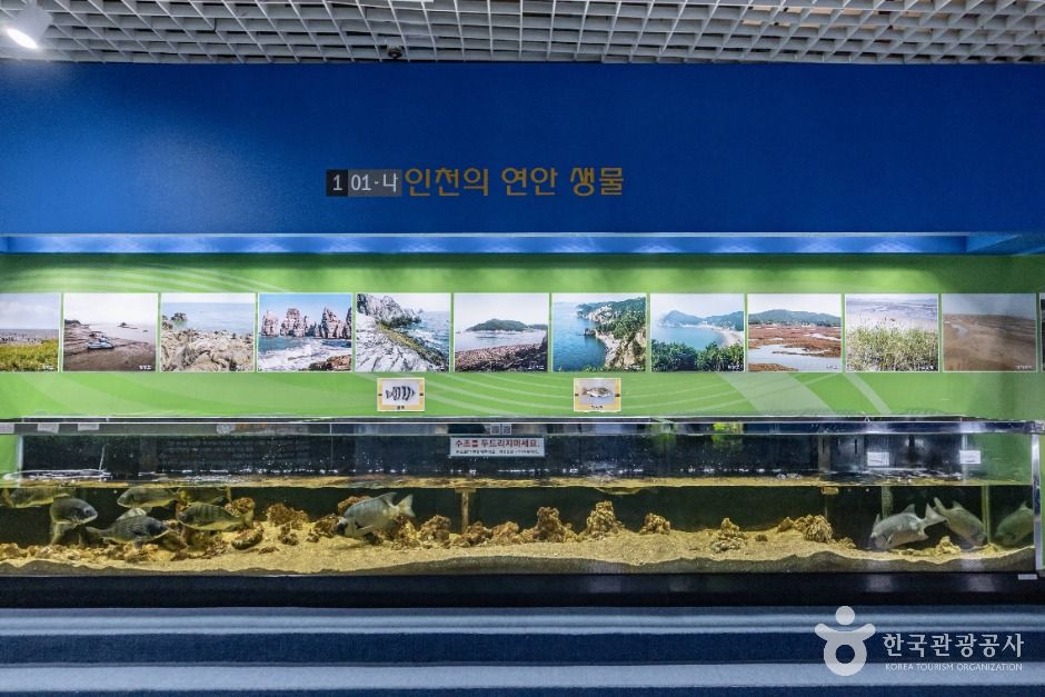 인천_인천학생과학관 (16)