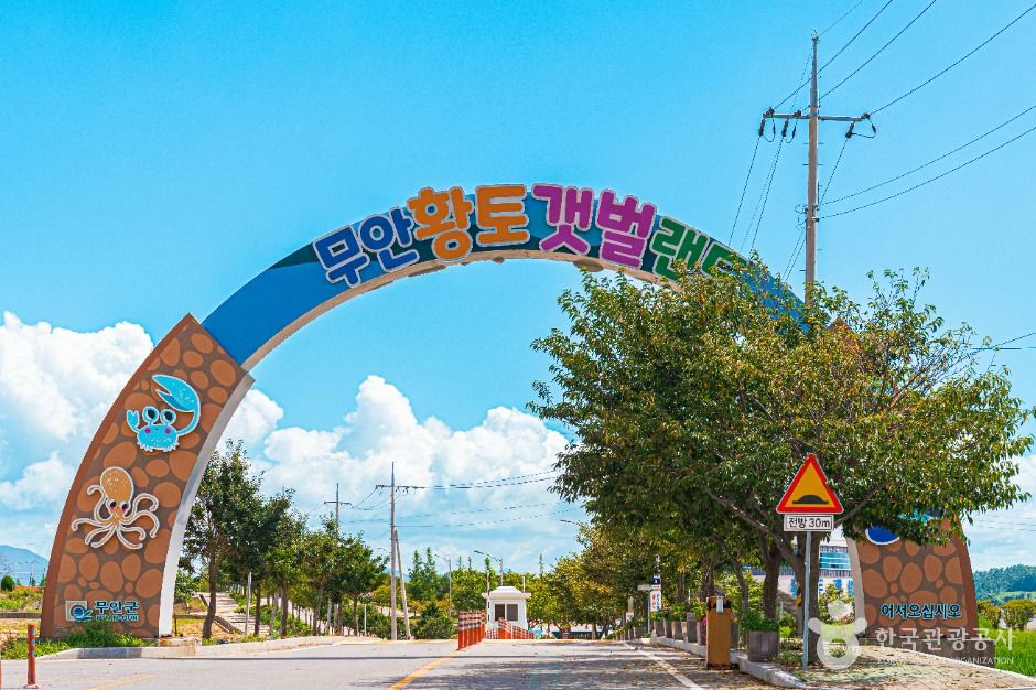 무안_무안황토갯벌랜드(구 무안생태갯벌센터) (1)