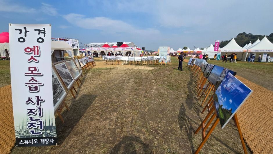 Festival del Jeotgal de Ganggyeong (강경젓갈축제)