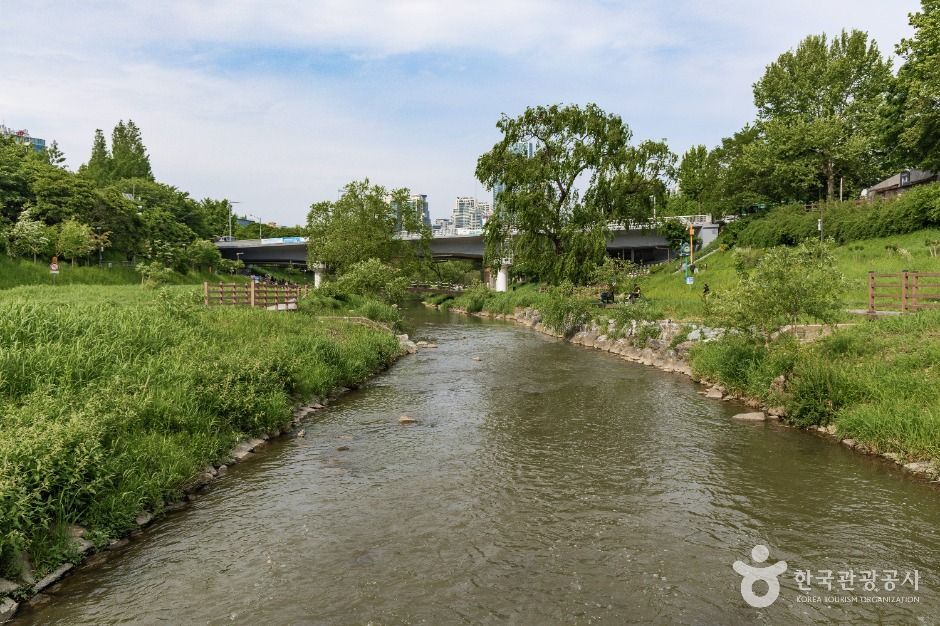 양재천 근린공원