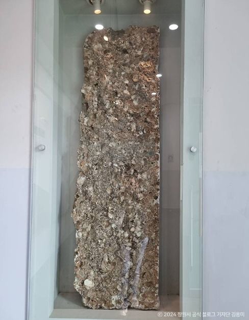 창원 성산 패총