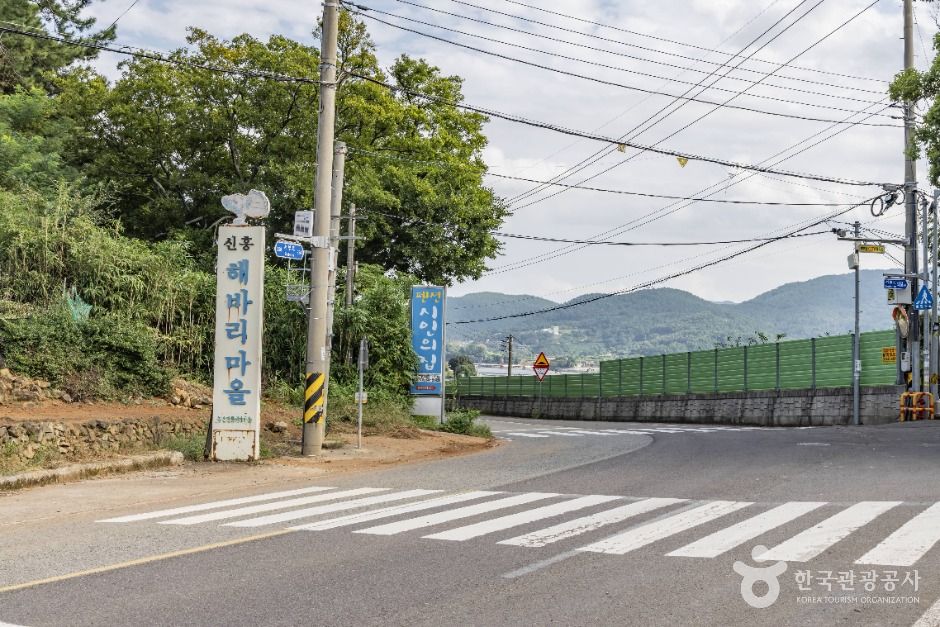 신흥해바리마을