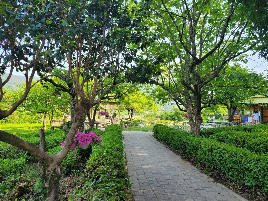 thumbnail-매암차박물관-4