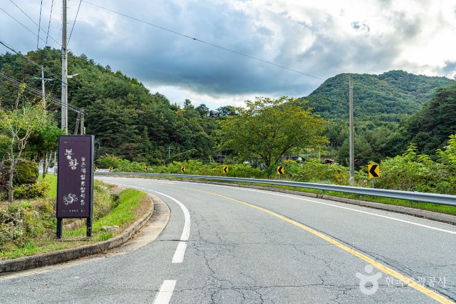 평창_봉황둘레길 (12)