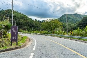 평창_봉황둘레길 (12)