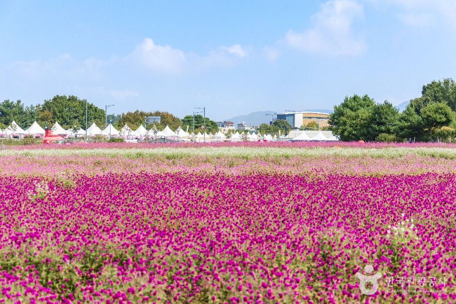 thumbnail-나리농원-7