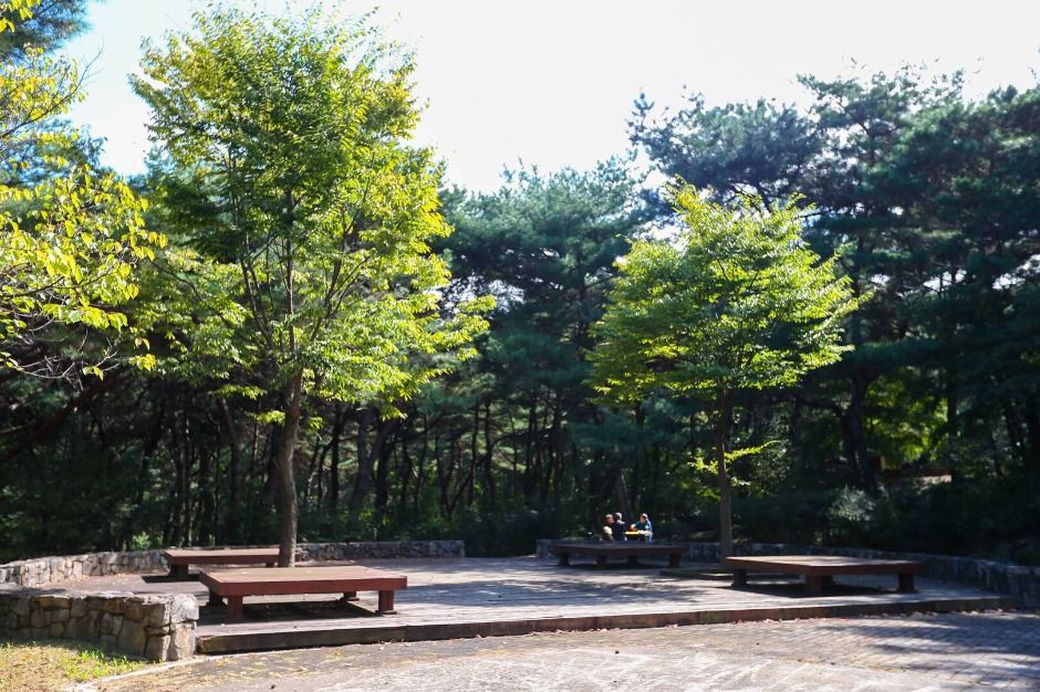 태학산자연휴양림_숲2