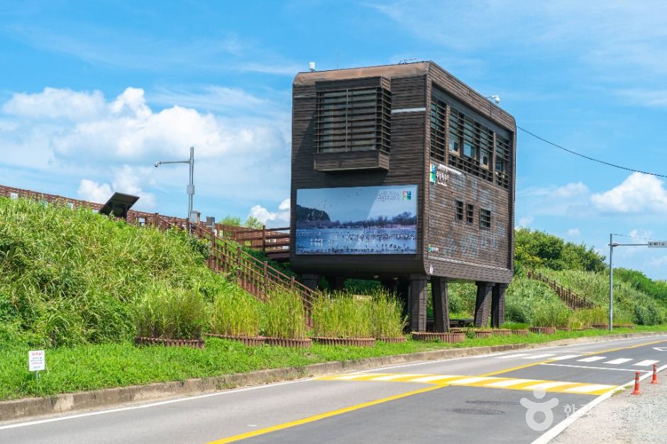 창원_주남저수지 철새도래지 (2)
