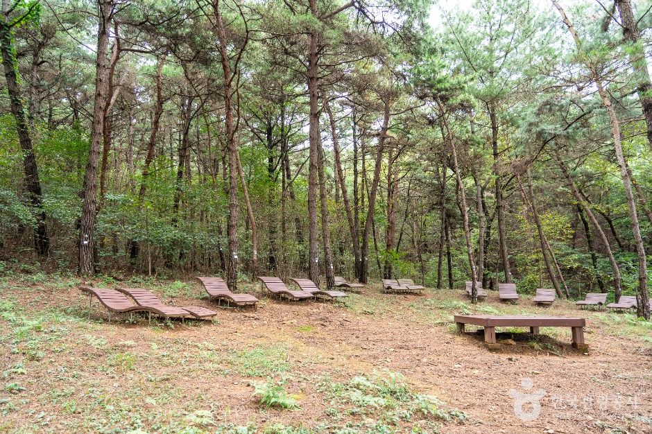 서천 치유의 숲