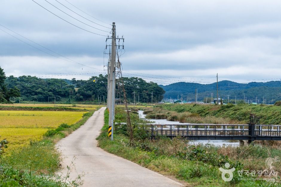 서산시_중왕리수로 (4)