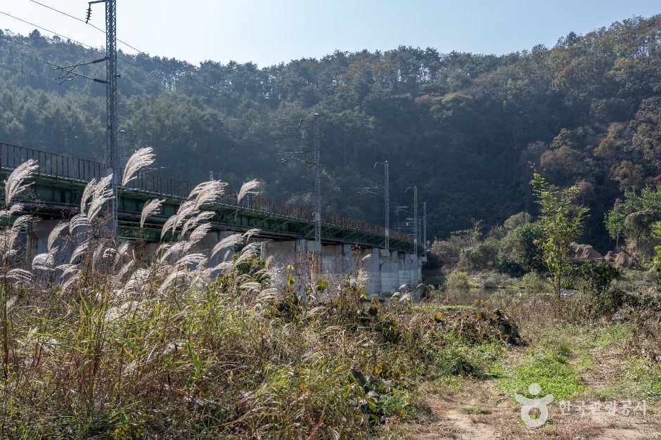 thumbnail-진소마을-4