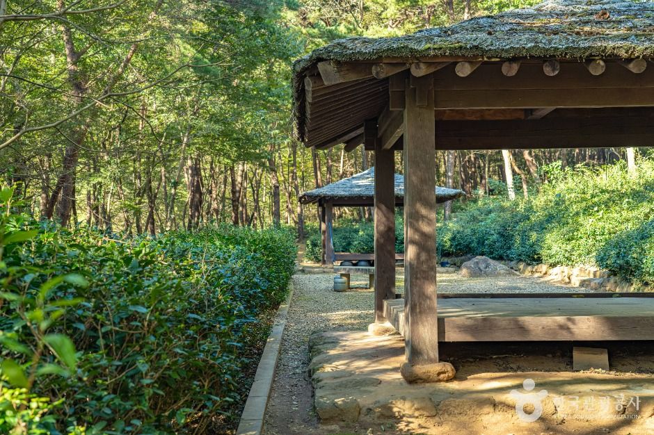 thumbnail-구례장죽전녹차시배지-5