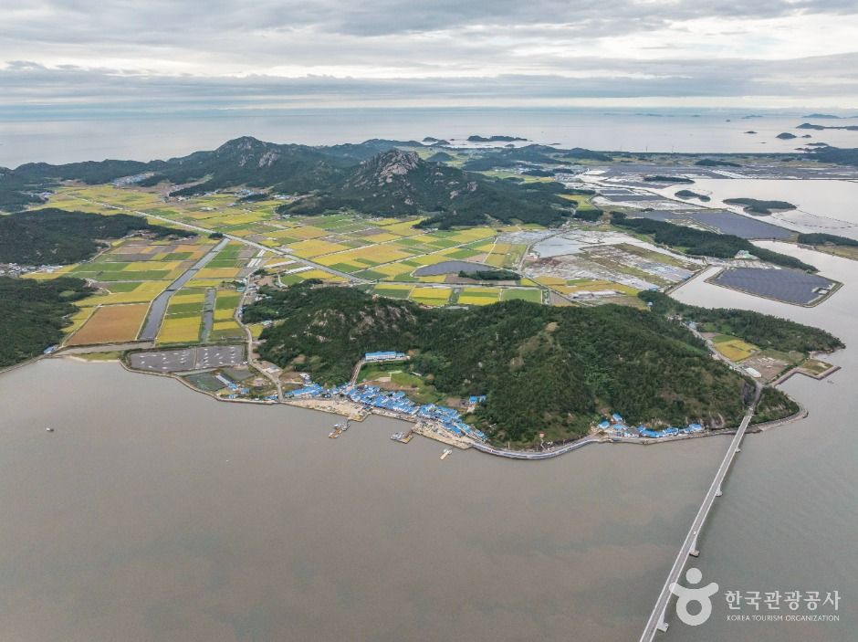 신안_비금도 (4)