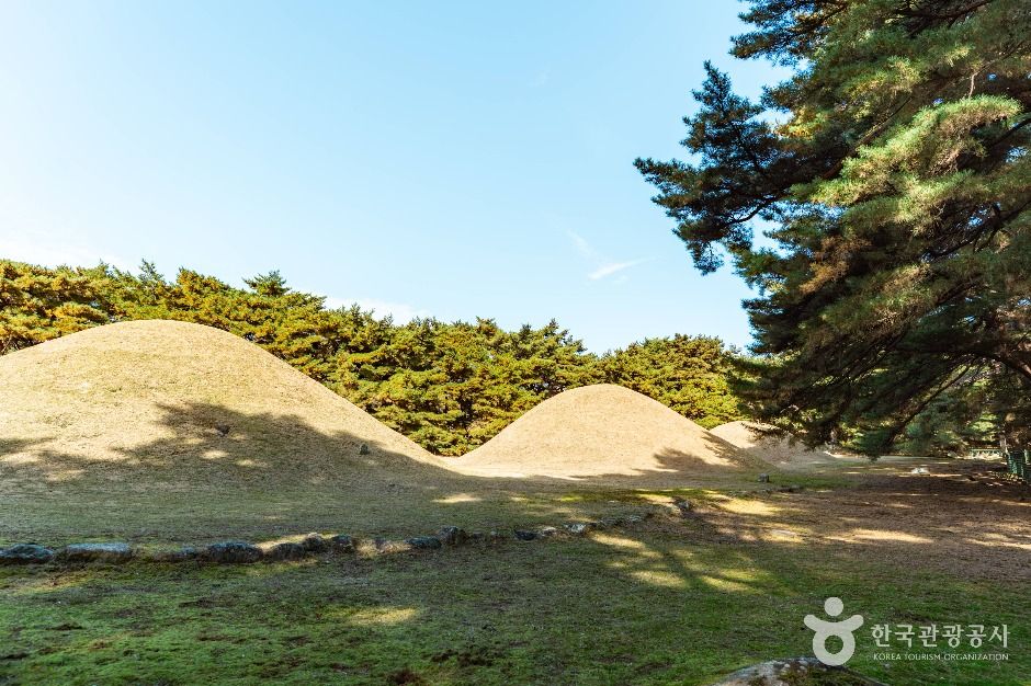 경주 배동 삼릉