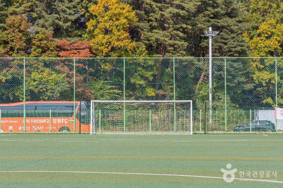 강남축구공원