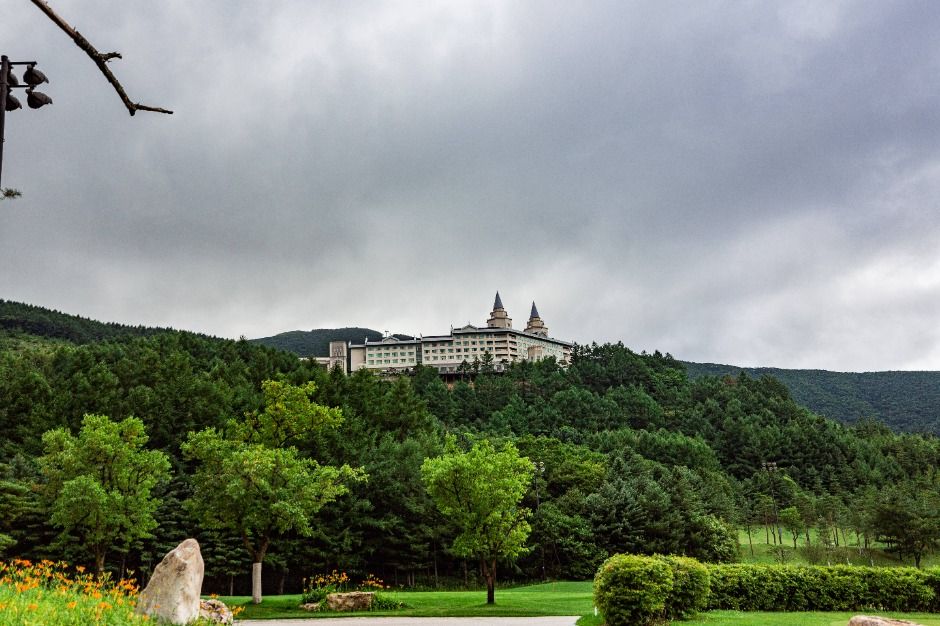 thumbnail-하이원 컨트리클럽-2