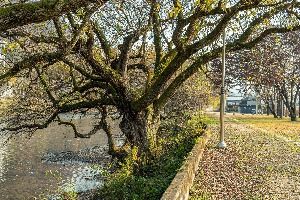 화순_영벽정 (10)