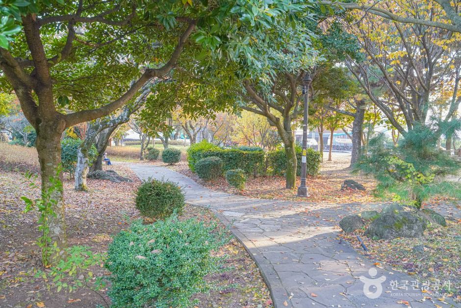 서귀포_[하영올레] 2코스 (7)