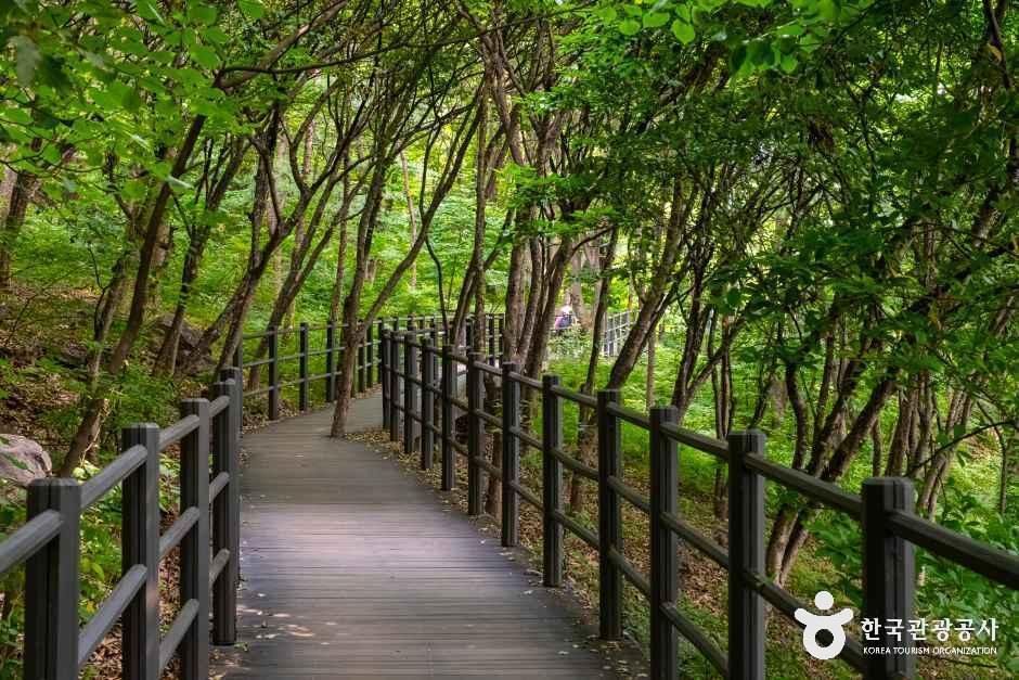 thumbnail-서대문 안산(안산자락길)-9