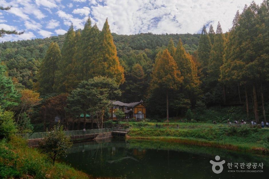 thumbnail-온빛자연휴양림-8