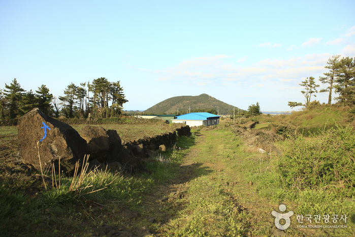 [제주올레 1코스] 시흥-광치기 올레9