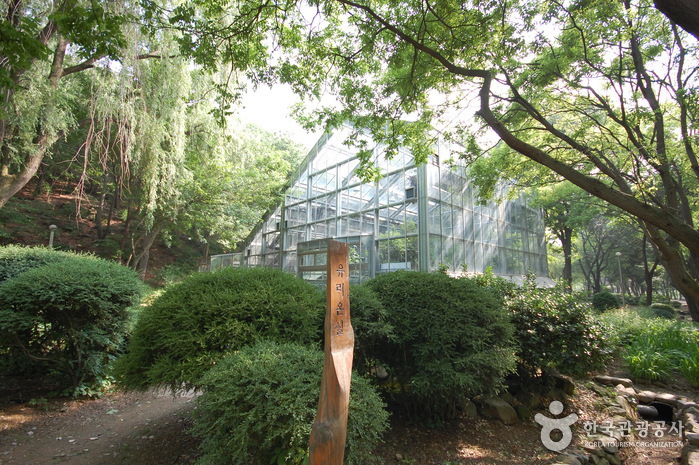 Kwanak-Arboretum der Seoul National University (서울대 관악수목원)