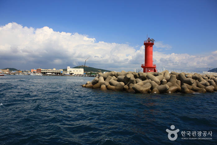 [제주올레 11코스] 모슬포-무릉 올레0