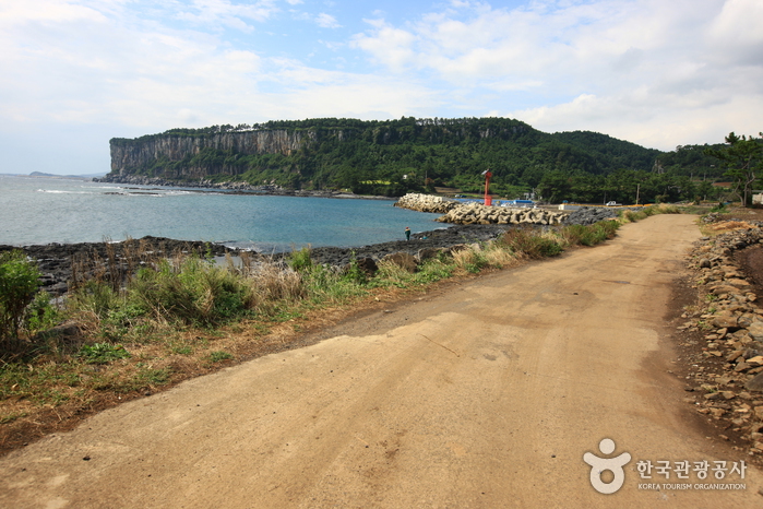 [제주올레 8코스] 월평-대평 올레8