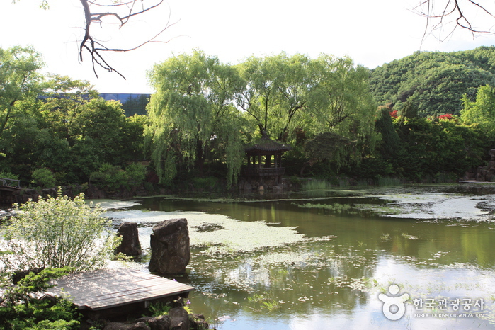The Botanical Garden BCJ (Byeokchoji) (벽초지 문화수목원)