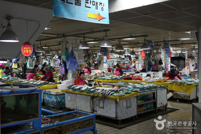 Marché aux fruits de mer de Jumunjin (강릉 주문진수산시장)